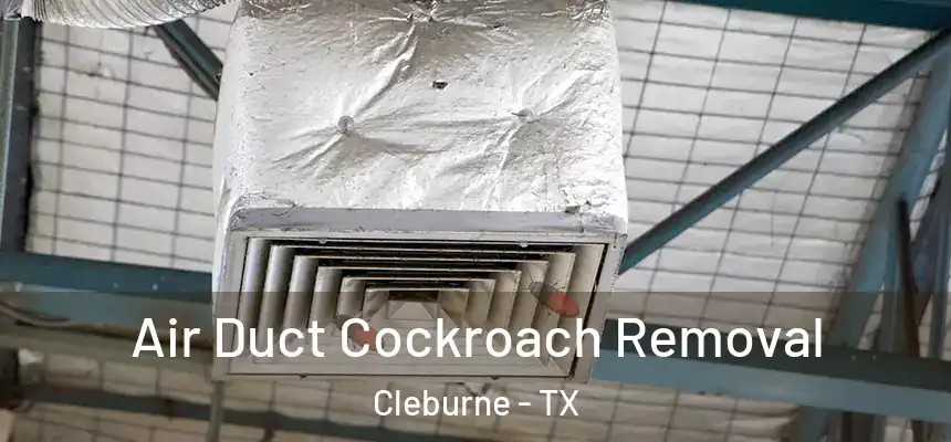 Air Duct Cockroach Removal Cleburne - TX