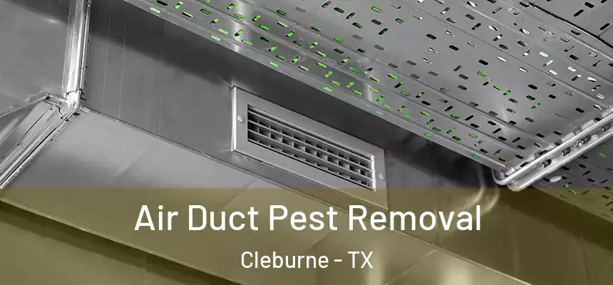  Air Duct Pest Removal Cleburne - TX