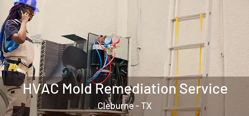 HVAC Mold Remediation Service Cleburne - TX