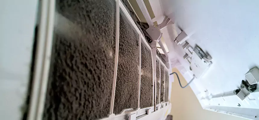 Preventive Air Duct Bacteria Removal in Cleburne