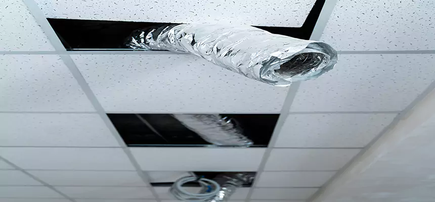 Our Air Duct Pet Hair Removal Services in Cleburne, TX