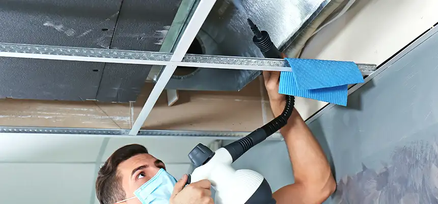 Our Air Duct Rodent Removal Services in Cleburne, TX