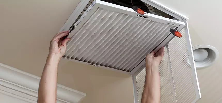 Our Insect Removal from Air Ducts Services in Cleburne, TX