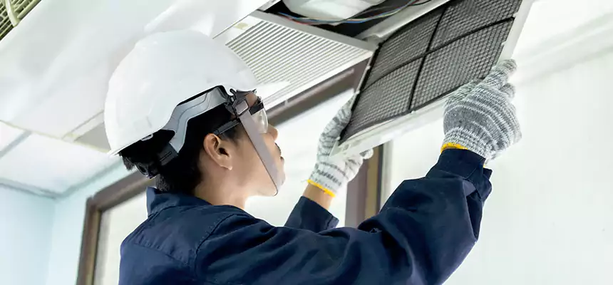 Our Mold & Mildew Removal from Air Ducts Services in Cleburne, TX