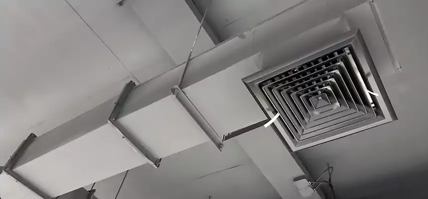 Our Rodent Droppings In Vents Services in Cleburne, TX