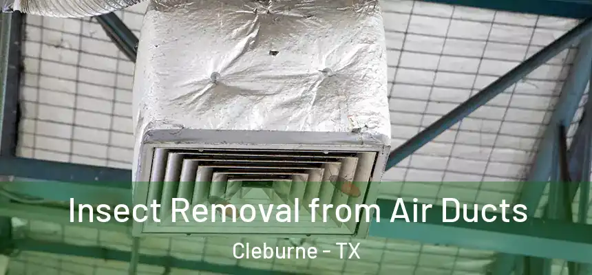 Insect Removal from Air Ducts Cleburne - TX