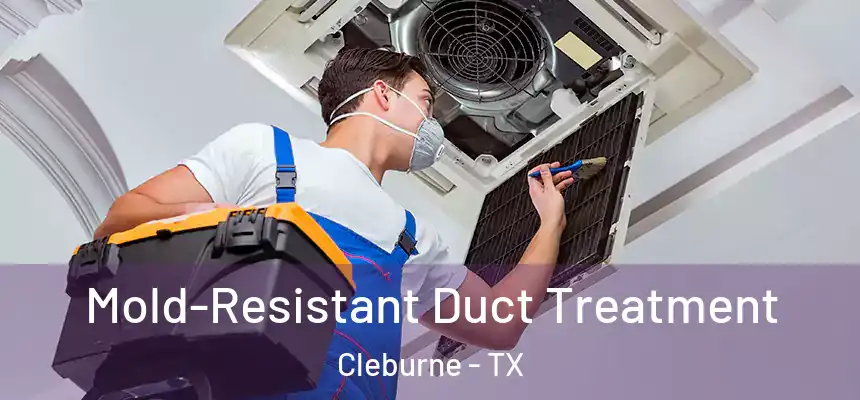 Mold-Resistant Duct Treatment Cleburne - TX