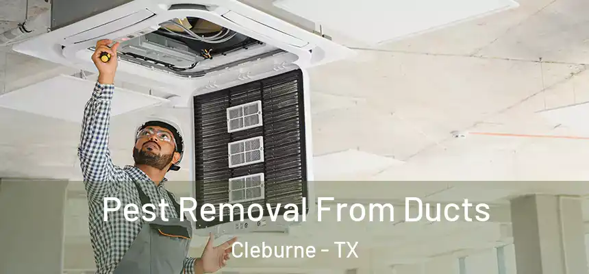  Pest Removal From Ducts Cleburne - TX