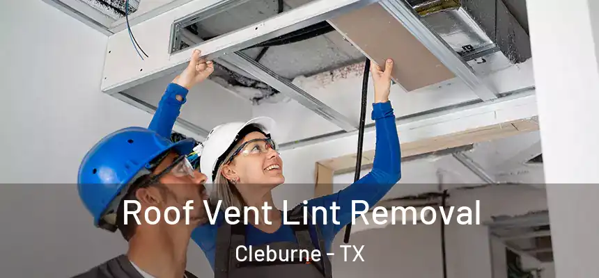 Roof Vent Lint Removal Cleburne - TX