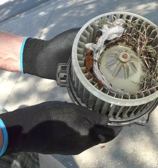 About Air Duct Rat Removal in Cleburne, TX