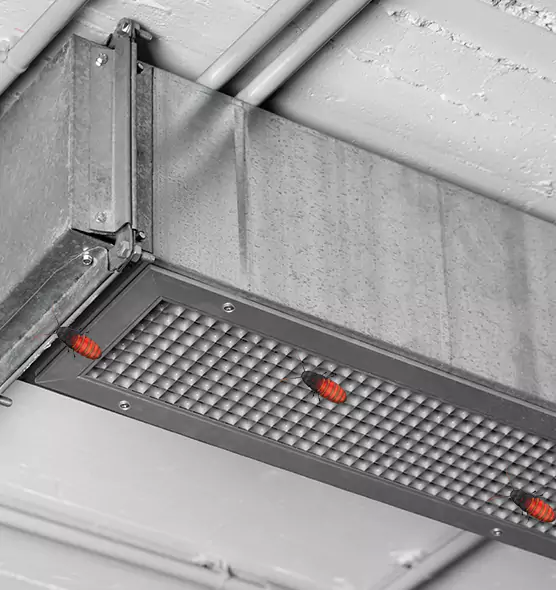 Affordable Insect Removal from Air Ducts in Cleburne, TX