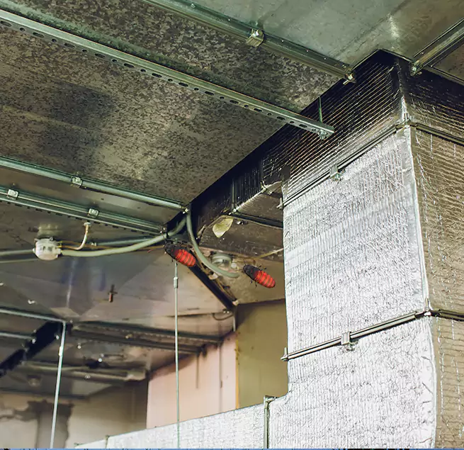 Why Homeowners & Businesses Trust Us in Cleburne, TX?