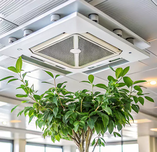 Why Homeowners & Businesses Trust Us in Cleburne, TX?